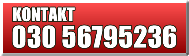 0049 0049
