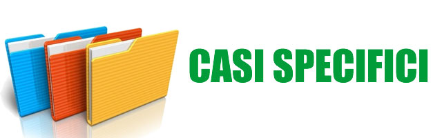 Casi specifici di rivenditori della Wall Bed King Casi specifici